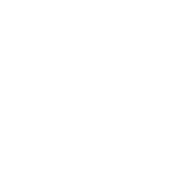NAVE ADVISORS Logo